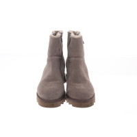 Ash Ankle boots Leather in Taupe