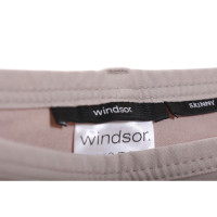 Windsor Paire de Pantalon en Coton en Beige