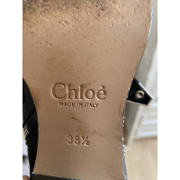 Chloé Stiefeletten aus Leder in Schwarz