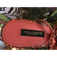 Dolce & Gabbana Sandalen Leer in Roze