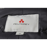 Peuterey Jacket/Coat in Grey