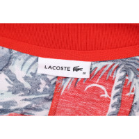 Lacoste Dress Cotton