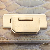 Luciano Padovan Clutch