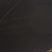 Louis Vuitton Umhängetasche aus Epileder 