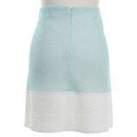 3.1 Phillip Lim rok in tweekleur