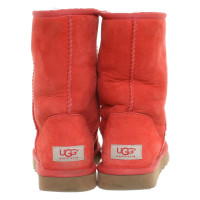 Ugg Australia Boots made of suede / lambskin