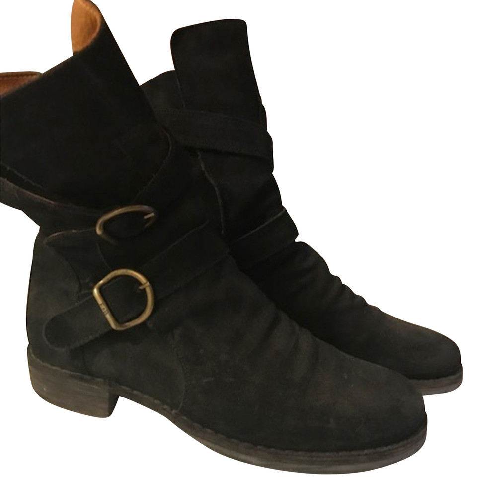 Fiorentini & Baker Bottines en Daim en Noir