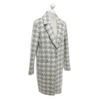 Iq Berlin Cappotto in grigio / crema