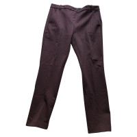 Pinko trousers in Bordeaux / Black