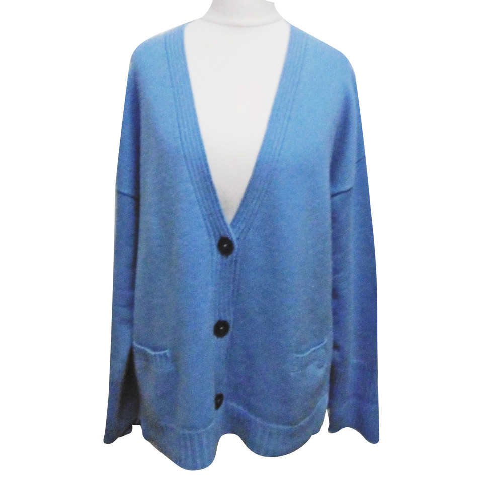 Iris Von Arnim Giacca/Cappotto in Cashmere in Blu