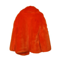 Diane Von Furstenberg Jacket/Coat in Orange
