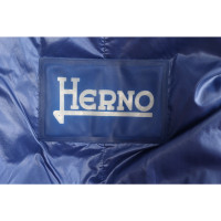 Herno Giacca/Cappotto in Blu
