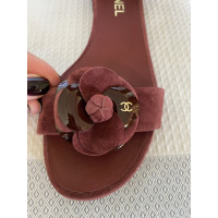 Chanel Sandals Suede