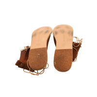 Ancient Greek Sandals Sandales en Daim en Marron
