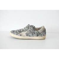 Golden Goose Trainers Leather in Grey