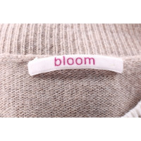 Bloom Strick