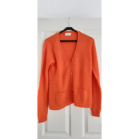 Ftc Knitwear Cashmere in Orange