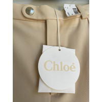 Chloé Hose aus Wolle in Creme