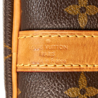 Louis Vuitton Speedy 25 Canvas in Bruin