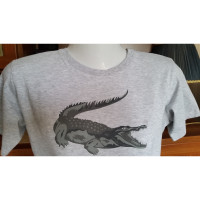 Lacoste Tricot en Coton en Gris