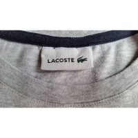 Lacoste Knitwear Cotton in Grey