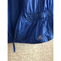 Adidas Vest in Blue