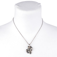Hermès Necklace in Silvery