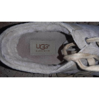 Ugg Australia Sneaker in Pelle scamosciata in Beige
