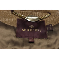 Mulberry Blazer in Cachi