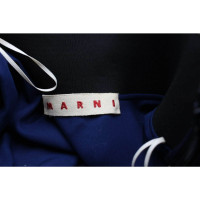 Marni Skirt Cotton in Blue