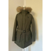 Blauer Usa Jacket/Coat in Khaki