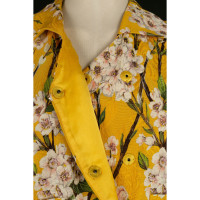 Dolce & Gabbana Jacket/Coat Cotton in Yellow