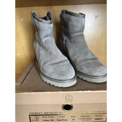 Ash Ankle boots in Grey