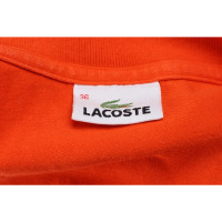 Lacoste Top in Orange