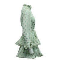 Zimmermann Kleid aus Seide in Grün