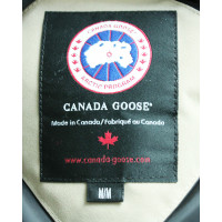 Canada Goose Jacke/Mantel in Nude