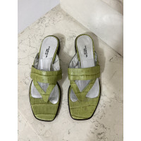 Tosca Blu Sandalen aus Leder in Grün