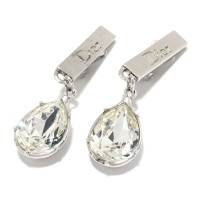Dior Earring in Silvery