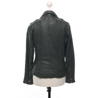 Goosecraft Jacket/Coat Leather in Green