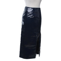 Munthe Skirt in Blue
