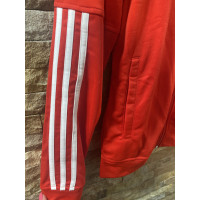 Adidas Jacke/Mantel in Rot