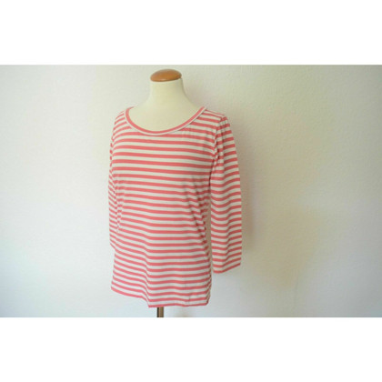 Max Mara Top Cotton in Pink