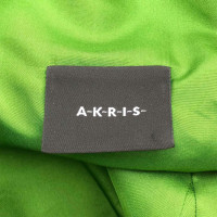 Akris Jurk Zijde in Groen