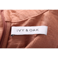 Ivy & Oak Bovenkleding