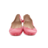 Chloé Slippers/Ballerina's Leer in Roze