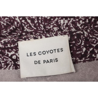 Les Coyotes De Paris Rok