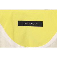 Windsor Jacke/Mantel in Gelb