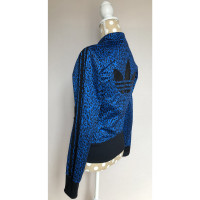 Adidas Jacke/Mantel in Blau