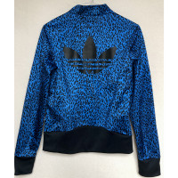 Adidas Jacke/Mantel in Blau