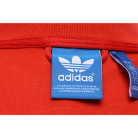 Adidas Jacke/Mantel